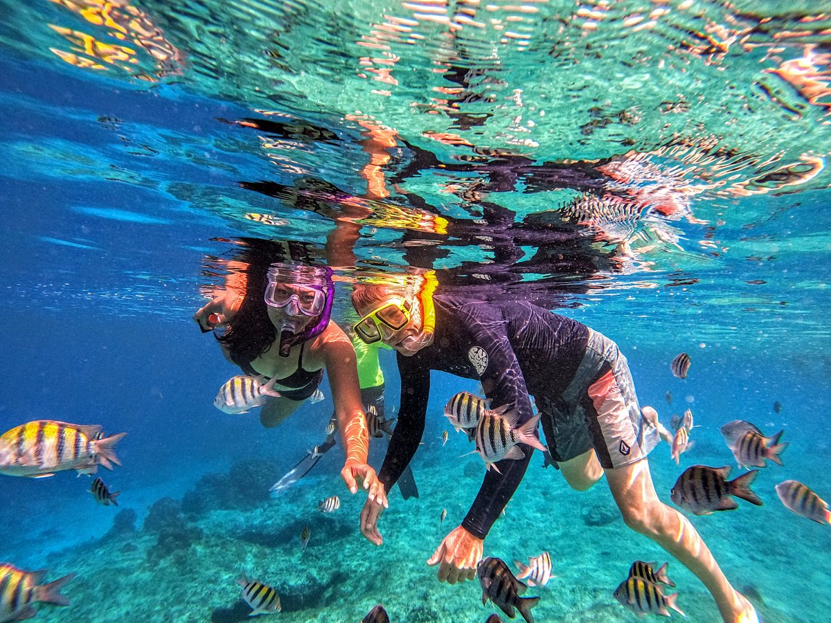 Snorkeling dan keindahan bawah laut