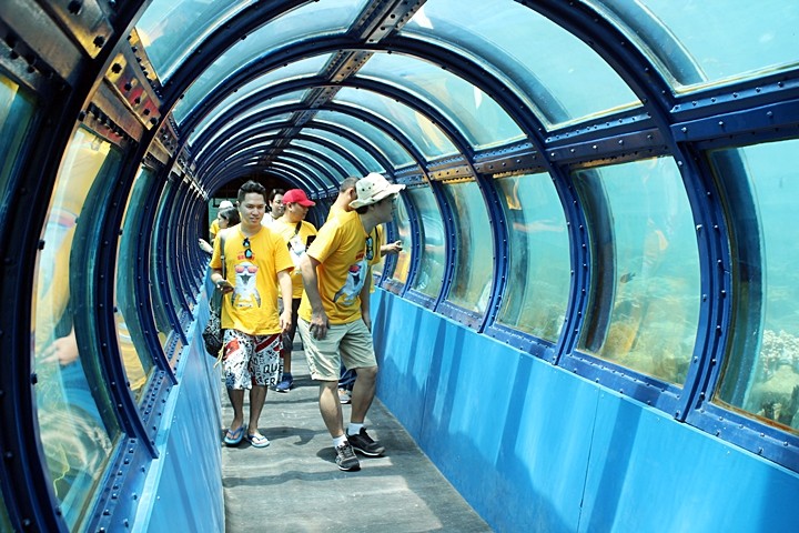 tunnel Aquarium Pulau Putri