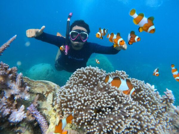 Tips Snorkeling Pulau Seribu