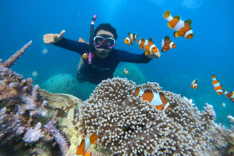 Tips Snorkeling Pulau Seribu