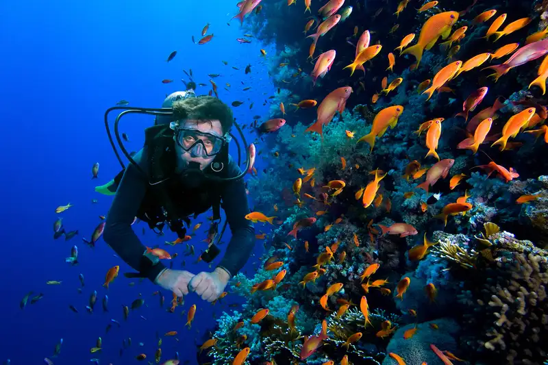 Diving di Pulau Seribu