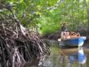 Hutan Mangrove pulau seribu
