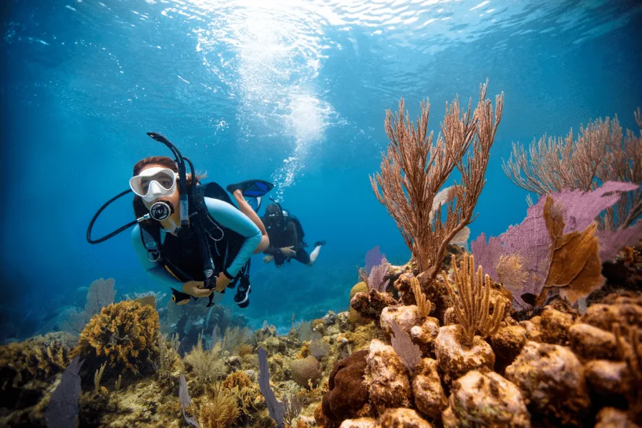 Scuba Diving Pulau Seribu