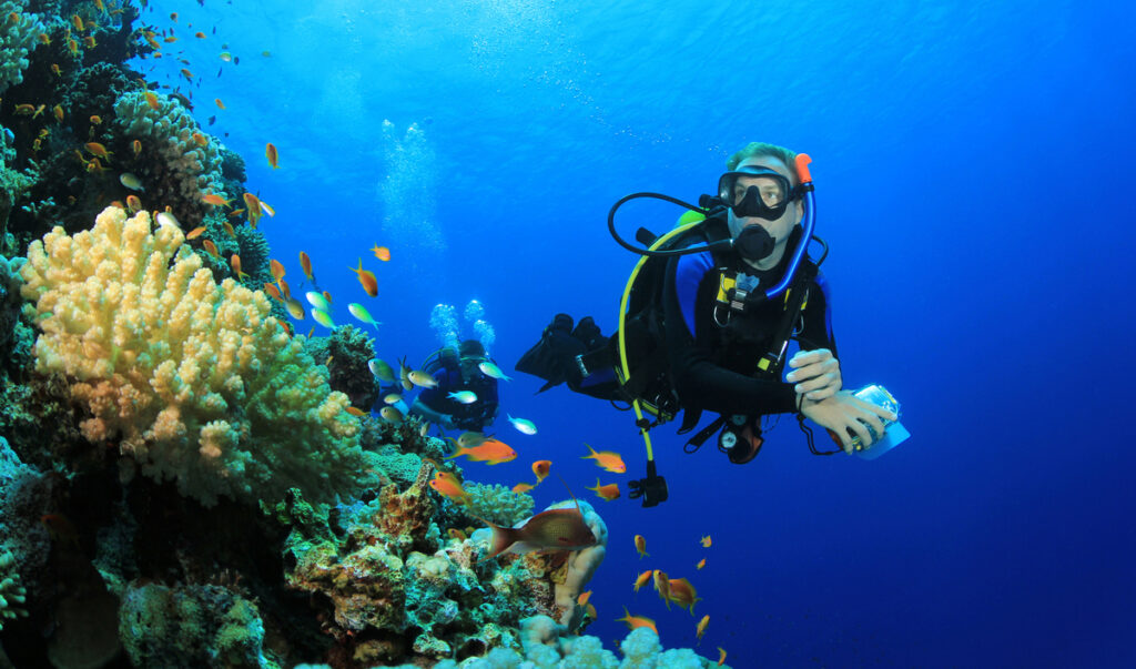 Diving di Pulau Seribu