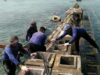 Tanggul Pemecah Ombak di Kepulauan Seribu